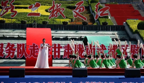 2019武都花椒產(chǎn)銷對(duì)接（電商）洽談會(huì)在階州廣場(chǎng)隆重開(kāi)幕~